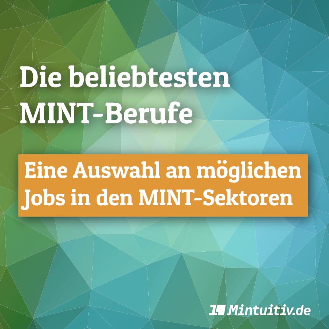 Beliebte Jobs im MINT-Sektor Infografik